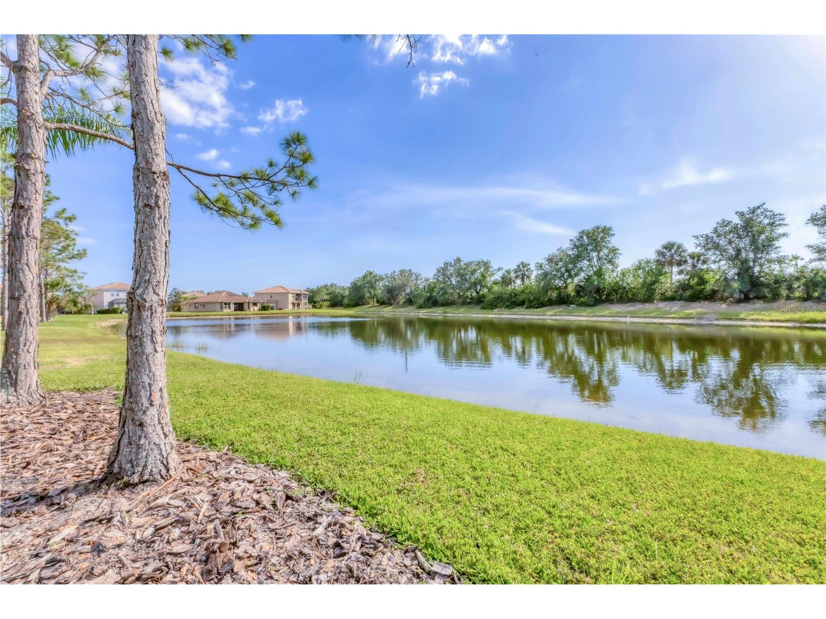 11504 Dancing River Drive Venice FL 34292 N6142667 image22