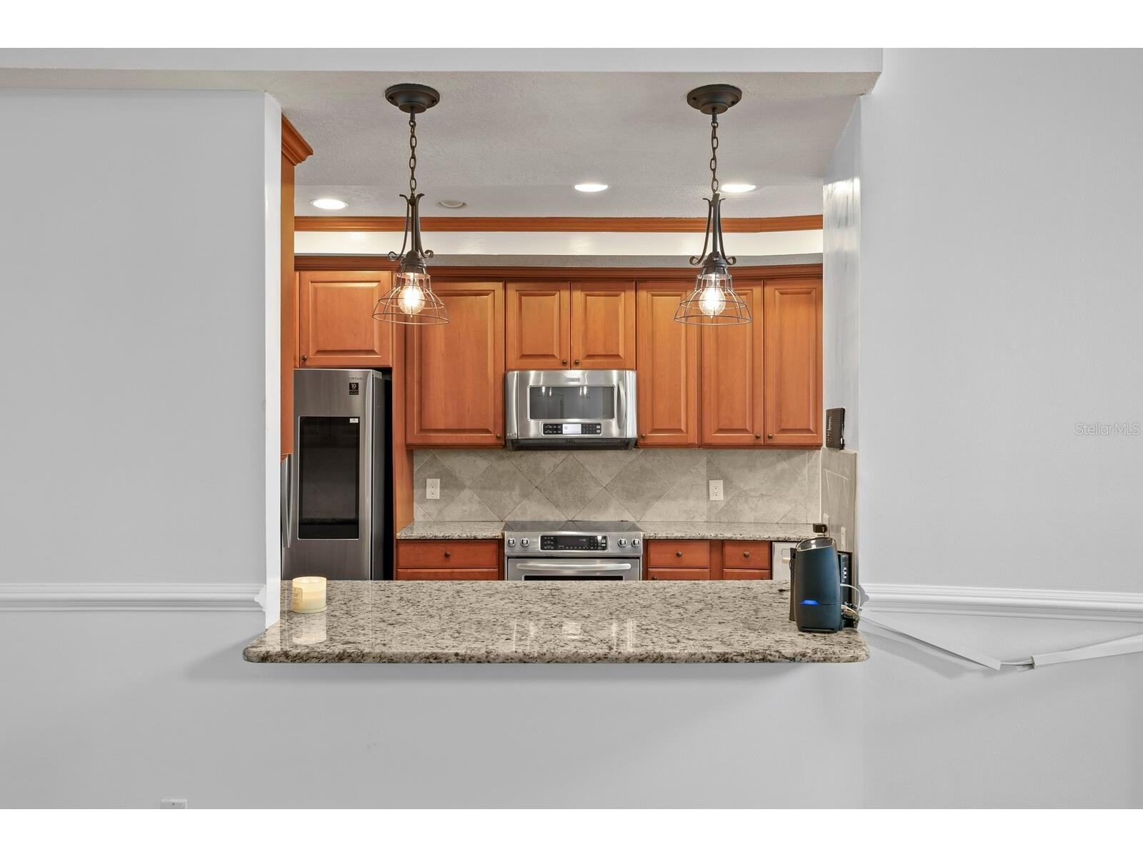 11504 Moffat Place Temple Terrace FL 33617 TB8494014 image21