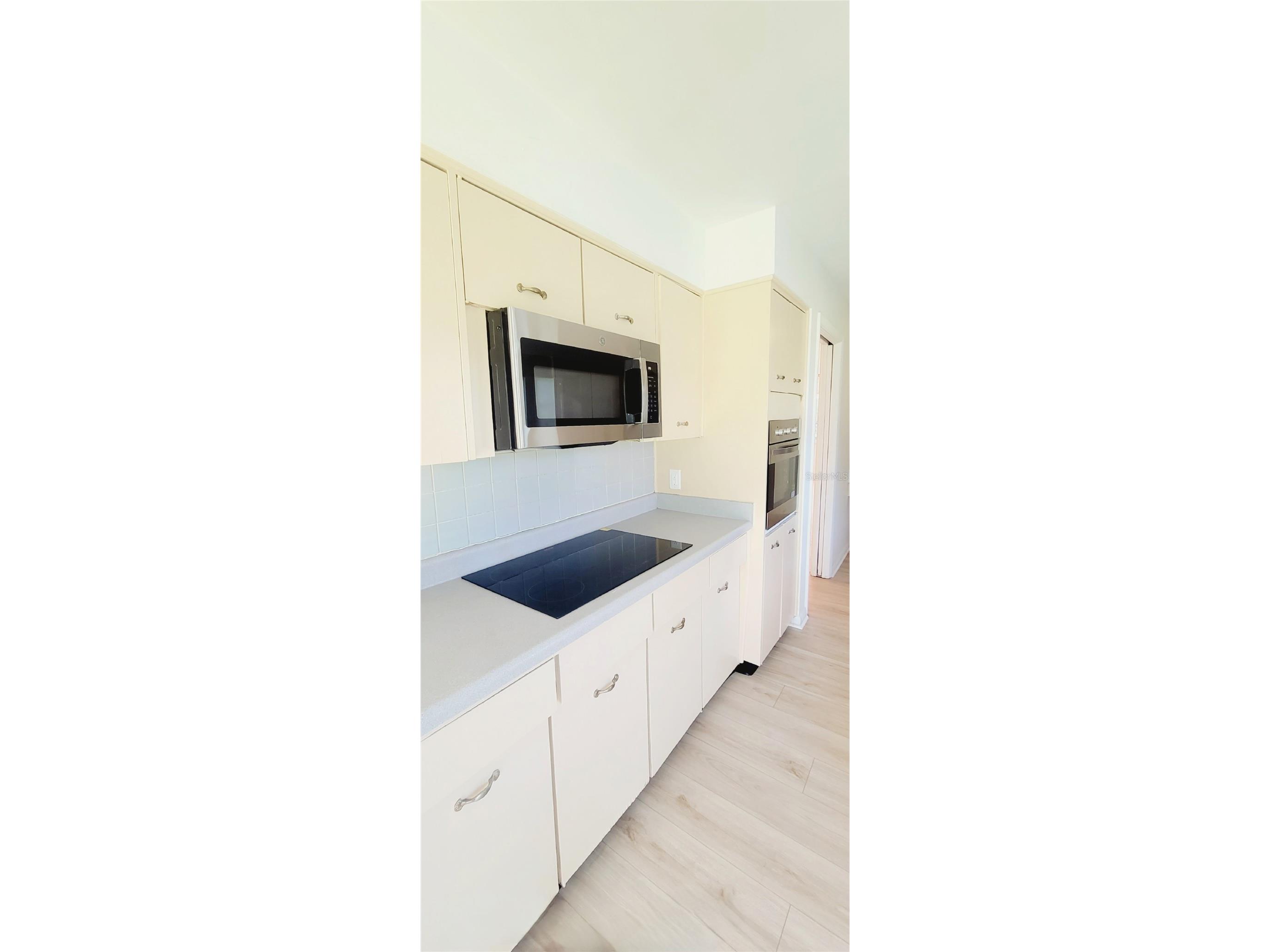 11504 Taylor Road Thonotosassa FL 33592 L4958727 image10