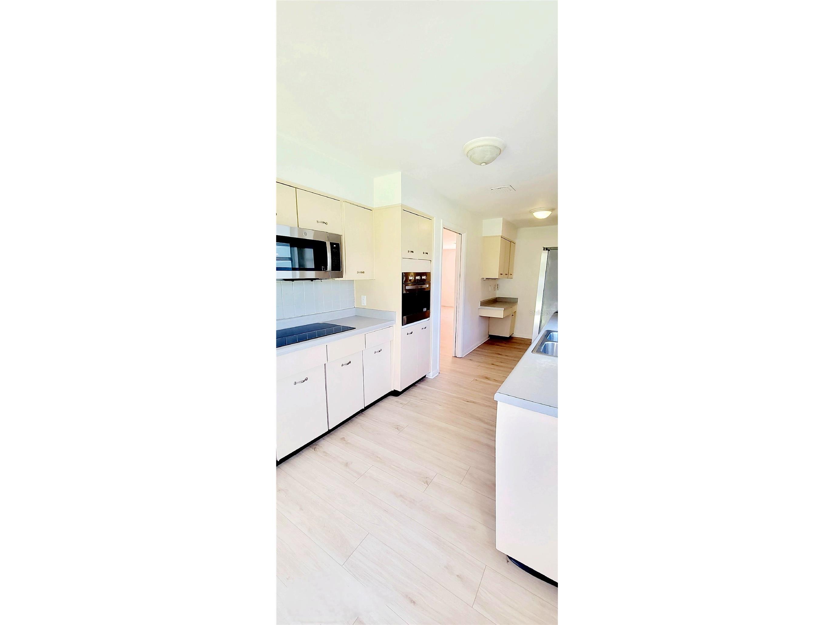 11504 Taylor Road Thonotosassa FL 33592 L4958727 image17