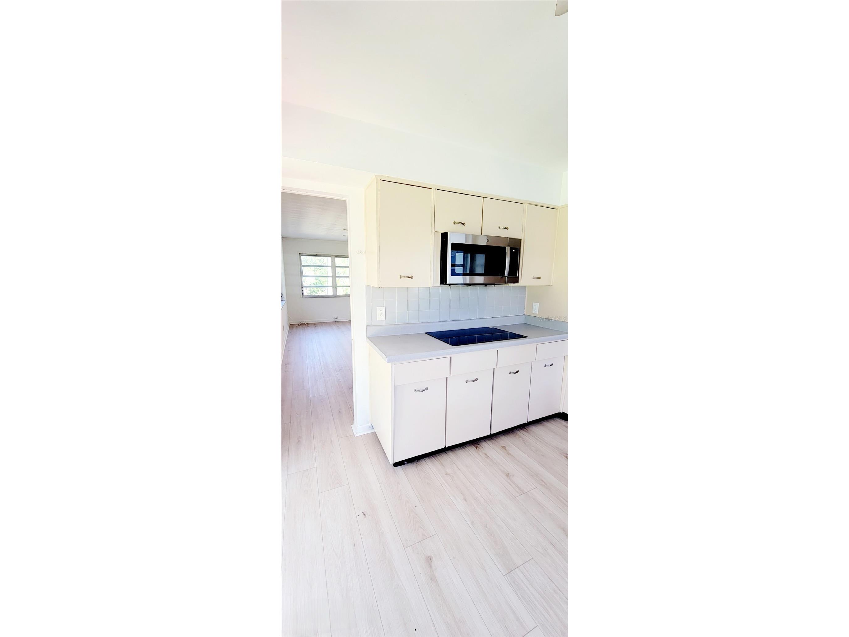 11504 Taylor Road Thonotosassa FL 33592 L4958727 image19