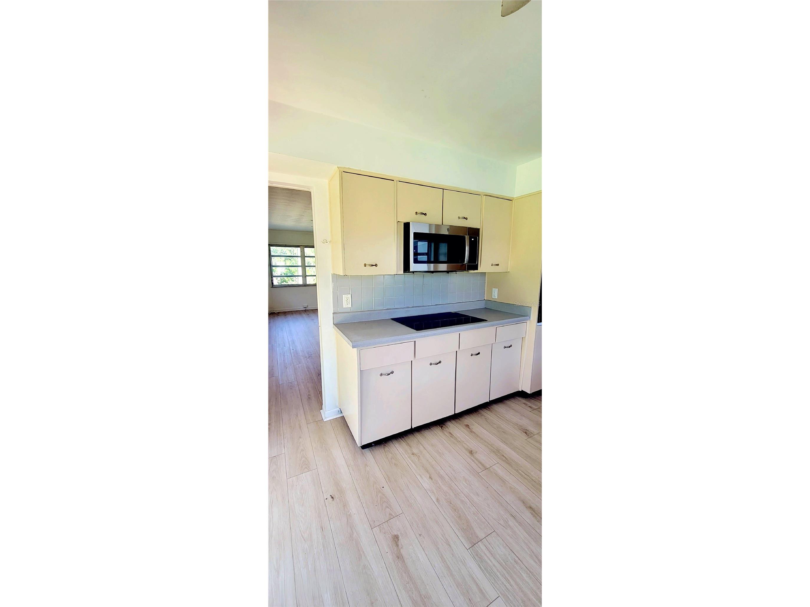 11504 Taylor Road Thonotosassa FL 33592 L4958727 image20