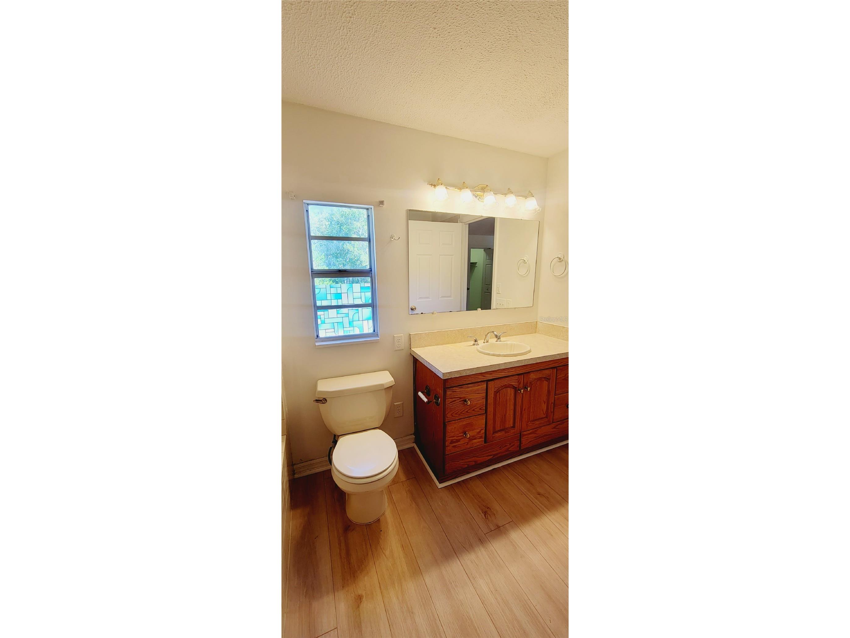 11504 Taylor Road Thonotosassa FL 33592 L4958727 image46