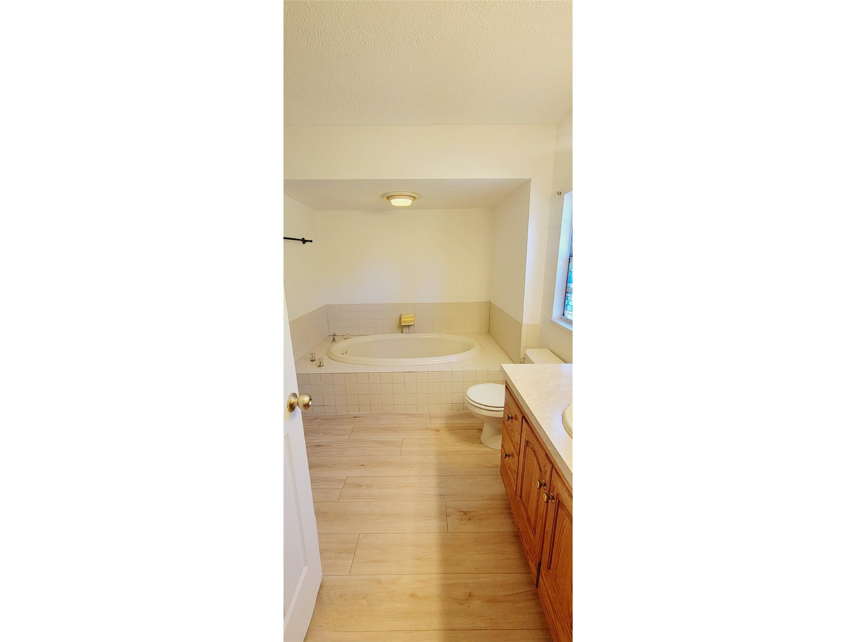 11504 Taylor Road Thonotosassa FL 33592 L4958727 image47