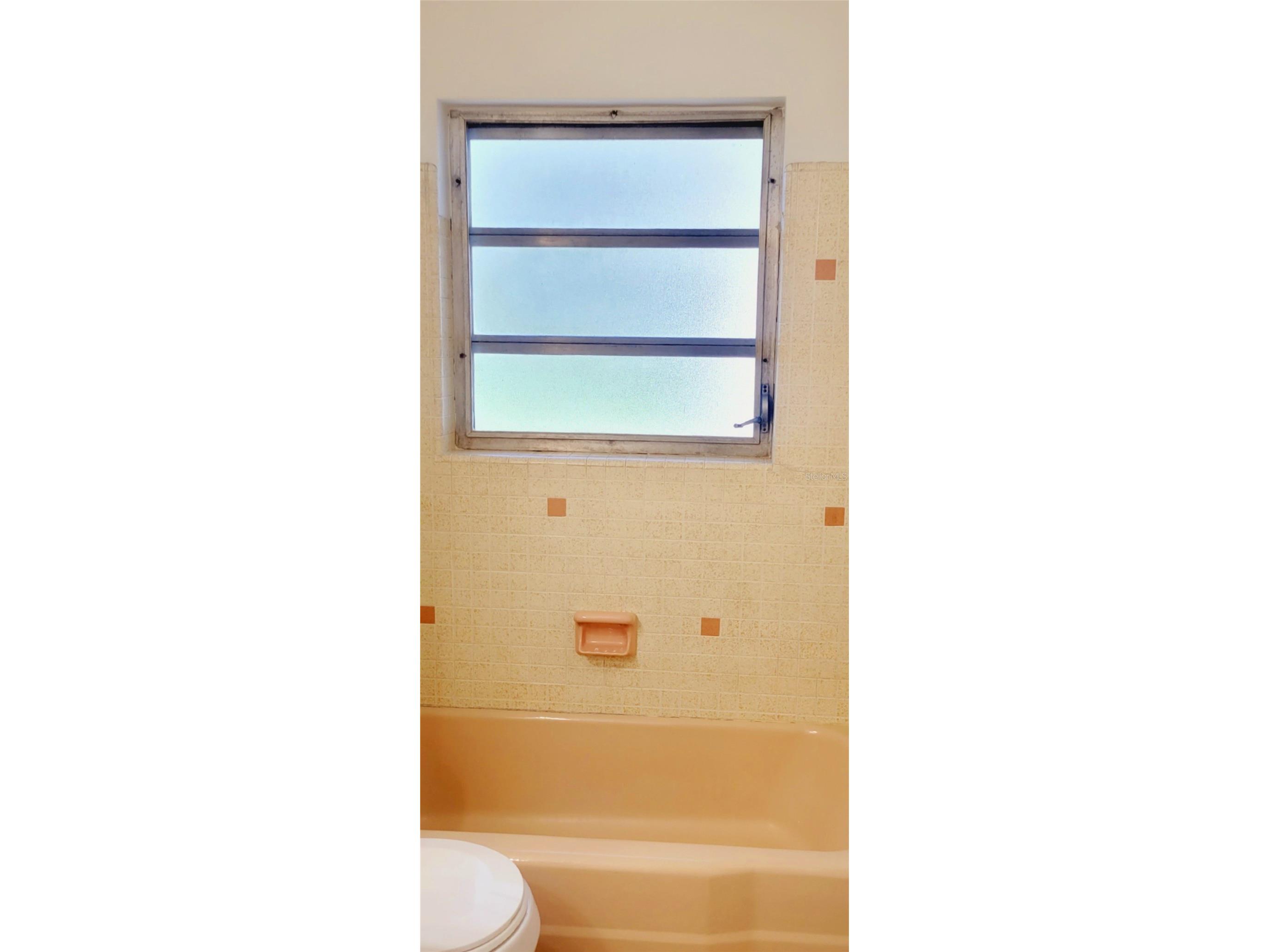 11504 Taylor Road Thonotosassa FL 33592 L4958727 image61