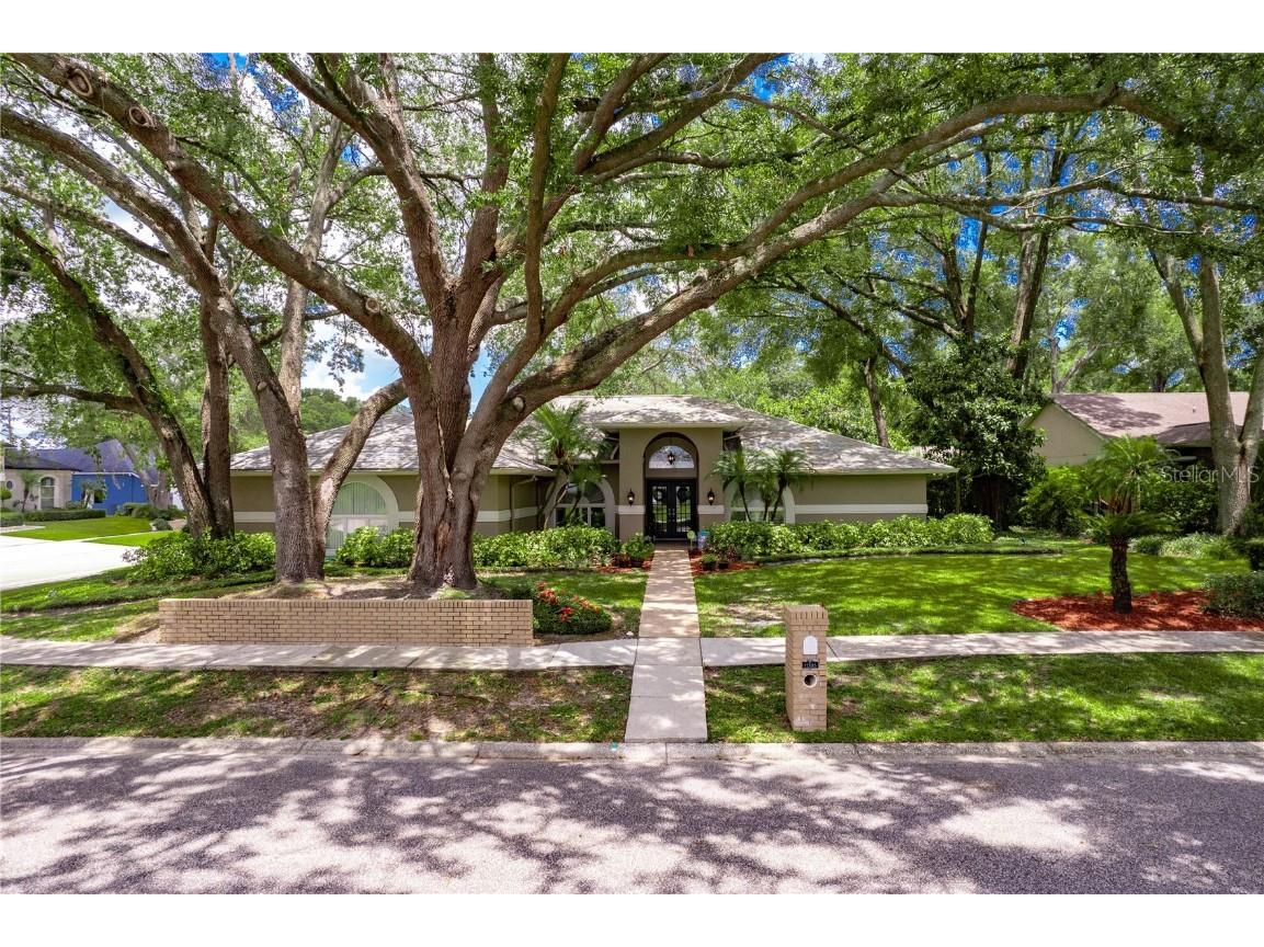 11505 Gibralter Place Temple Terrace FL 33617 T3453670 image1