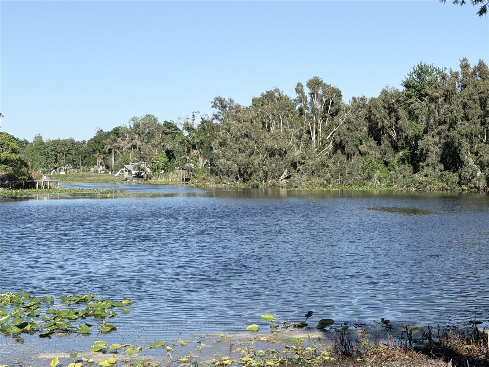 11505 N Rome Avenue Tampa FL 33612 - LAKE ECKLES TB8497394 image1