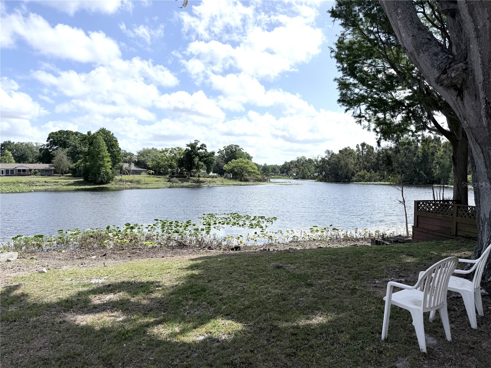 11505 N Rome Avenue Tampa FL 33612 - LAKE ECKLES TB8511421 image19