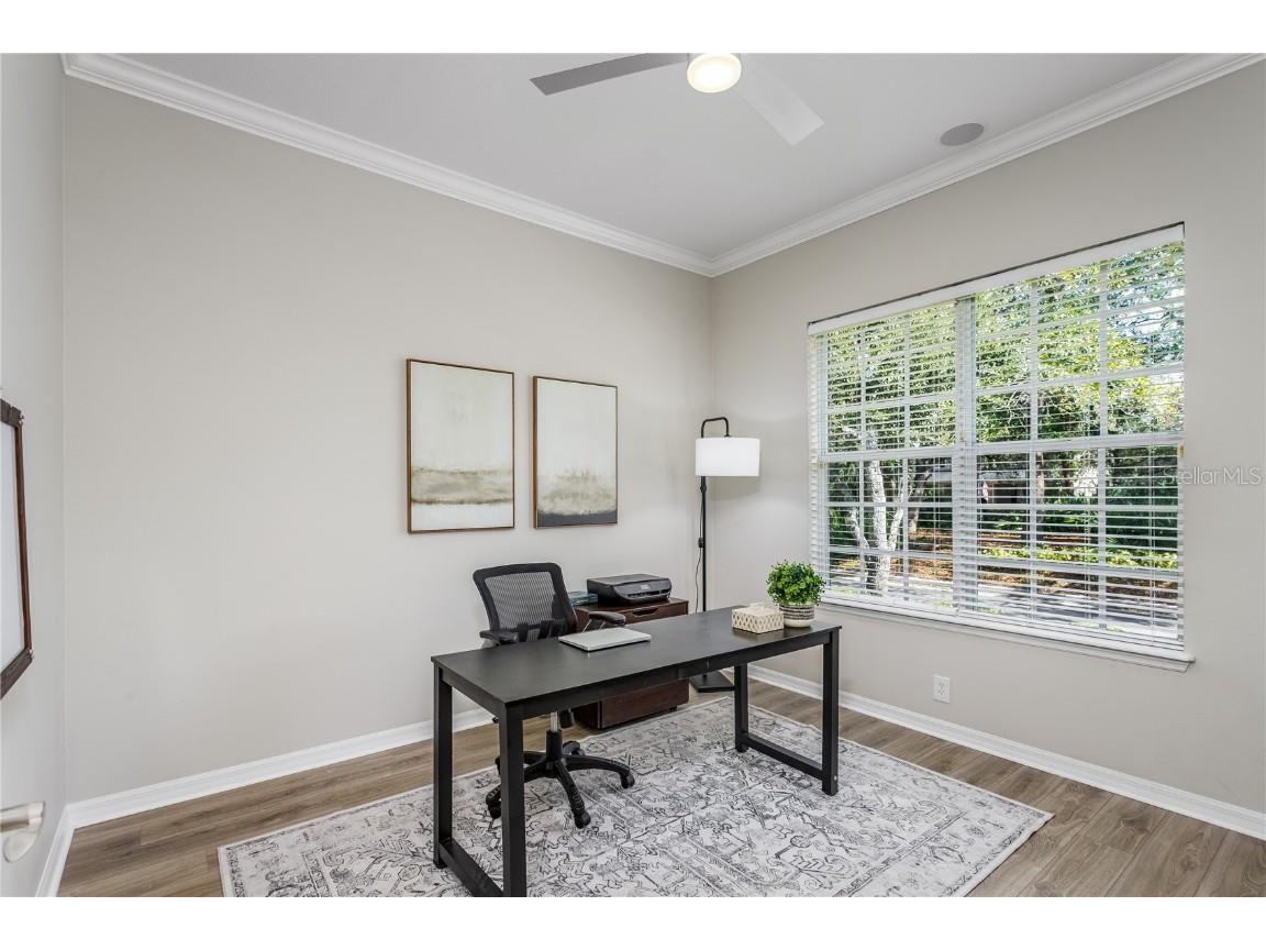 11505 Splendid Lane Tampa FL 33626 TB8443473 image15