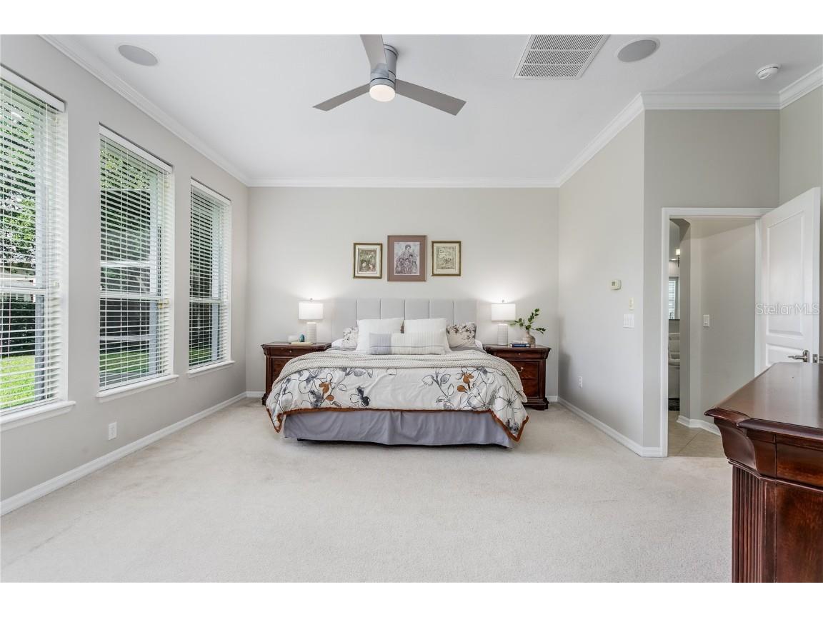 11505 Splendid Lane Tampa FL 33626 TB8443473 image16