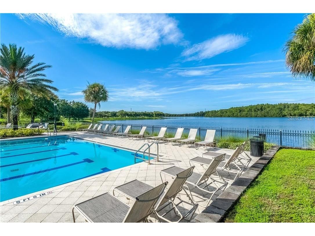 11505 Splendid Lane Tampa FL 33626 TB8443473 image31