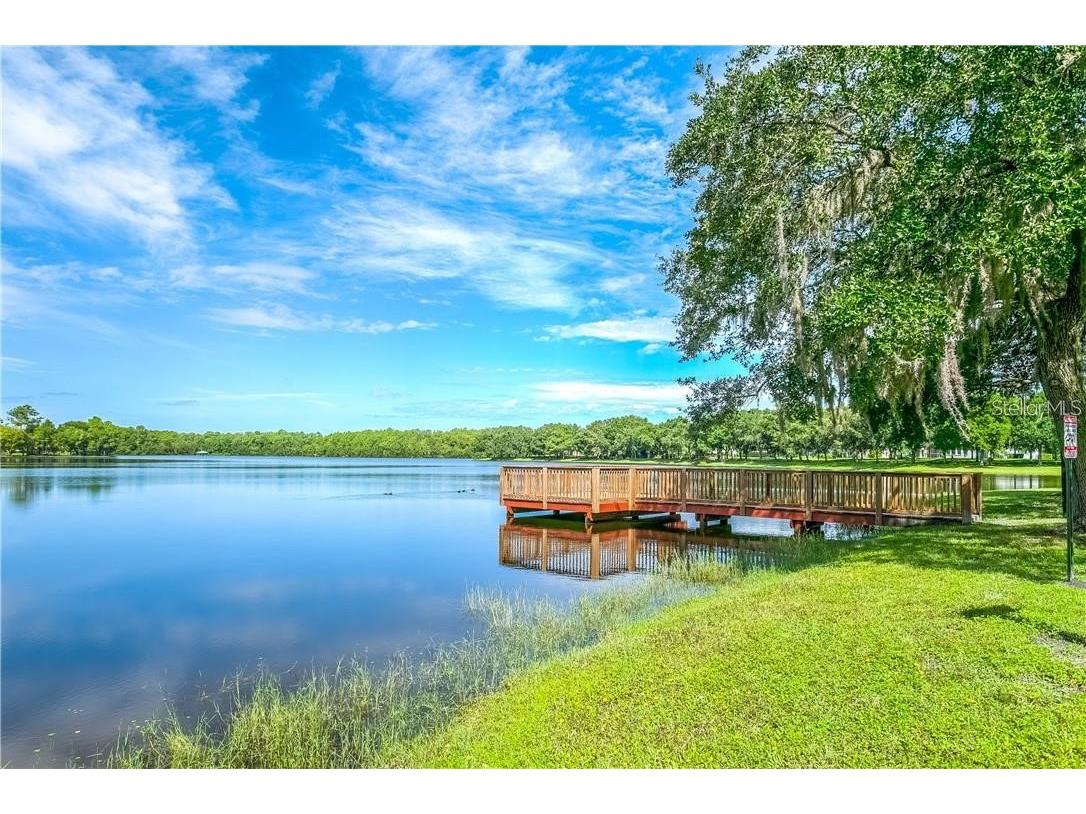 11505 Splendid Lane Tampa FL 33626 TB8443473 image32