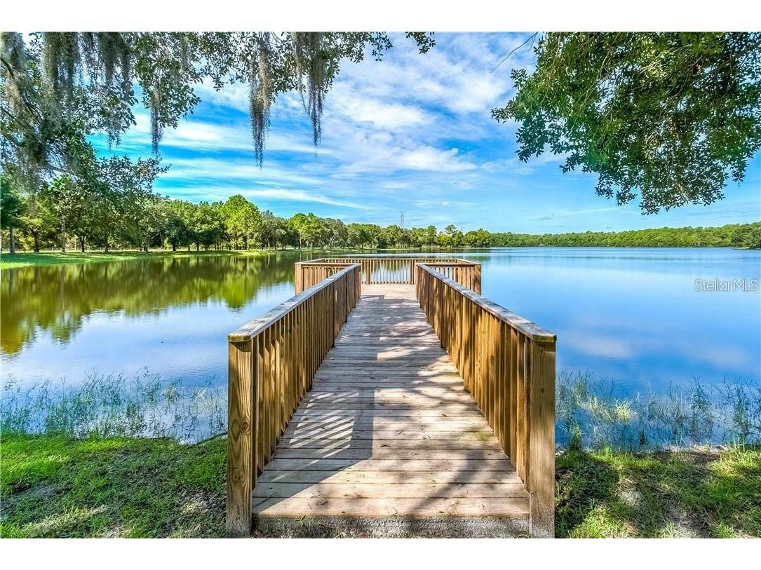 11505 Splendid Lane Tampa FL 33626 TB8443473 image33