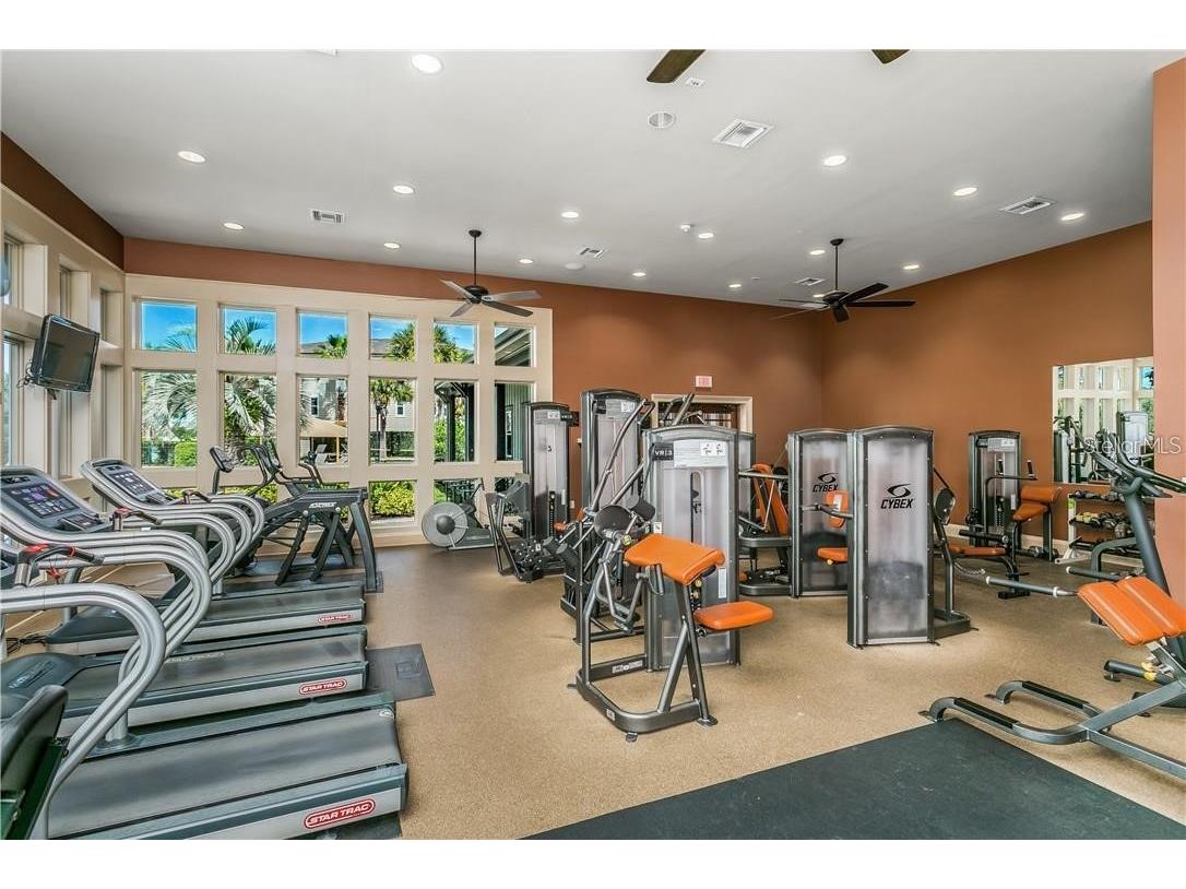 11505 Splendid Lane Tampa FL 33626 TB8443473 image35