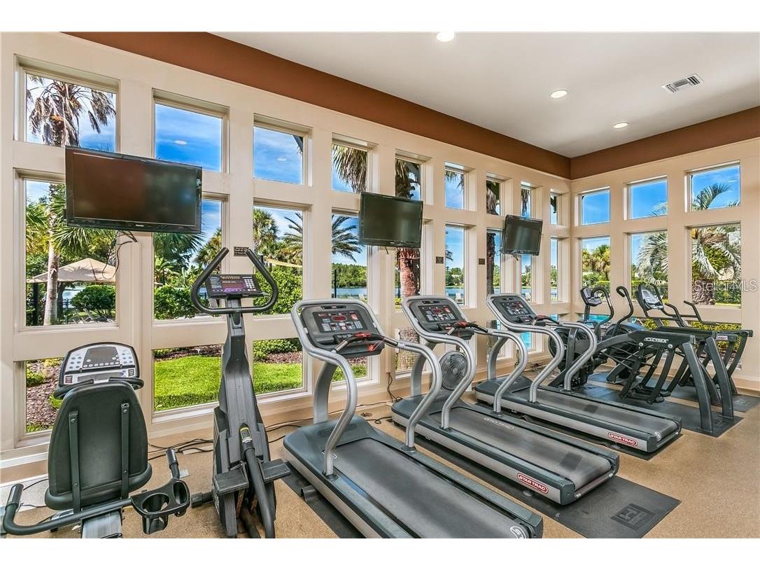 11505 Splendid Lane Tampa FL 33626 TB8443473 image36