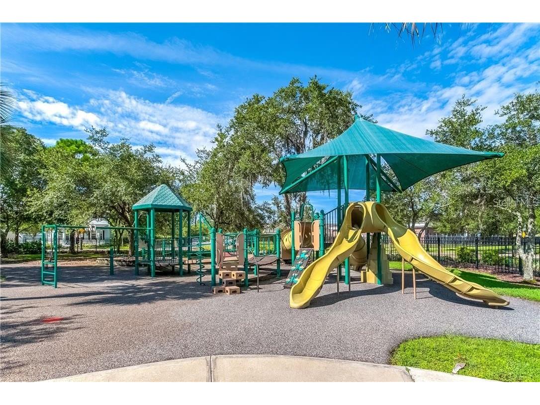 11505 Splendid Lane Tampa FL 33626 TB8443473 image38