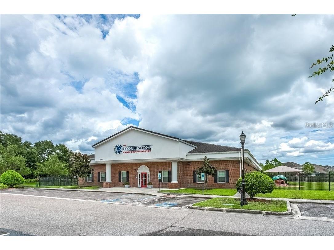 11505 Splendid Lane Tampa FL 33626 TB8443473 image41