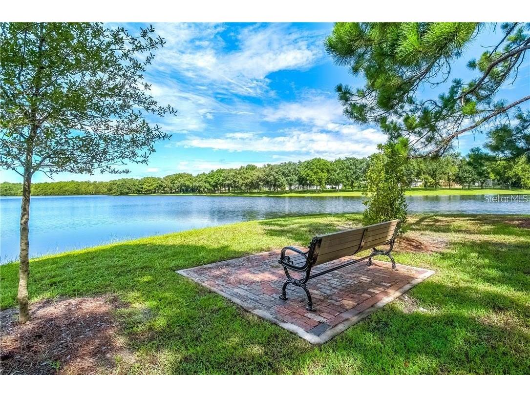 11505 Splendid Lane Tampa FL 33626 TB8443473 image42