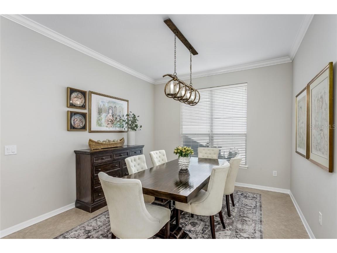 11505 Splendid Lane Tampa FL 33626 TB8443473 image5