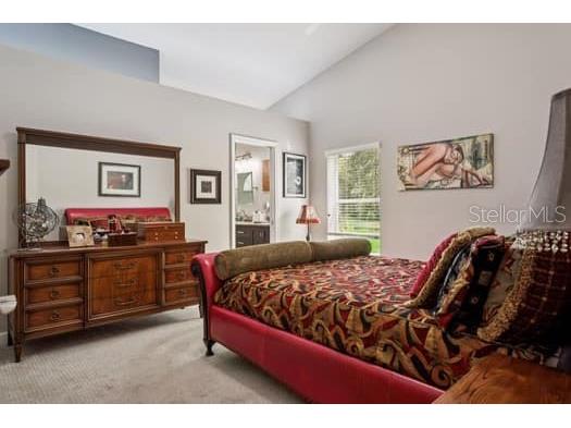 11506 Dampier Court New Port Richey FL 34654 TB8424368 image11