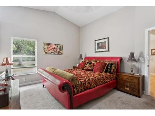 11506 Dampier Court New Port Richey FL 34654 TB8424368 image14