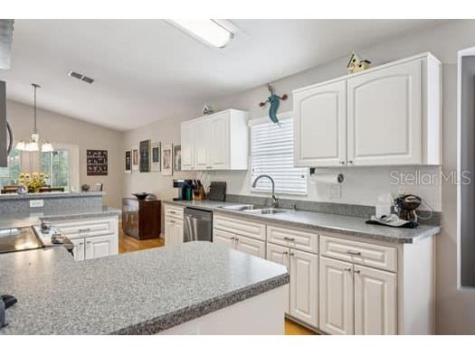 11506 Dampier Court New Port Richey FL 34654 TB8424368 image25