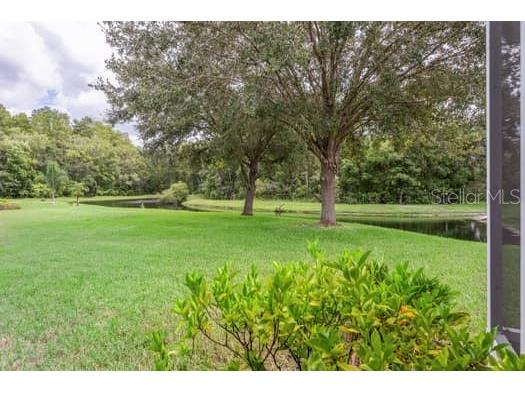 11506 Dampier Court New Port Richey FL 34654 TB8424368 image4