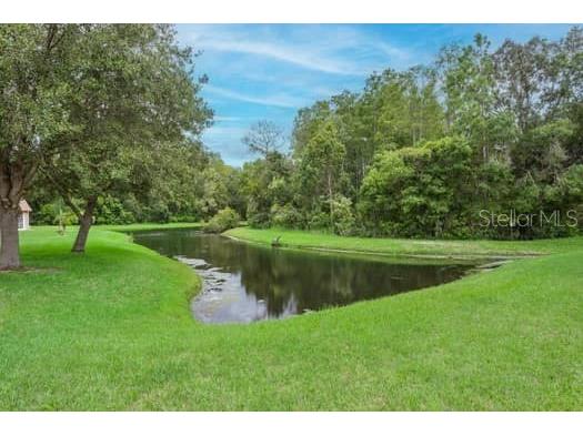 11506 Dampier Court New Port Richey FL 34654 TB8424368 image5