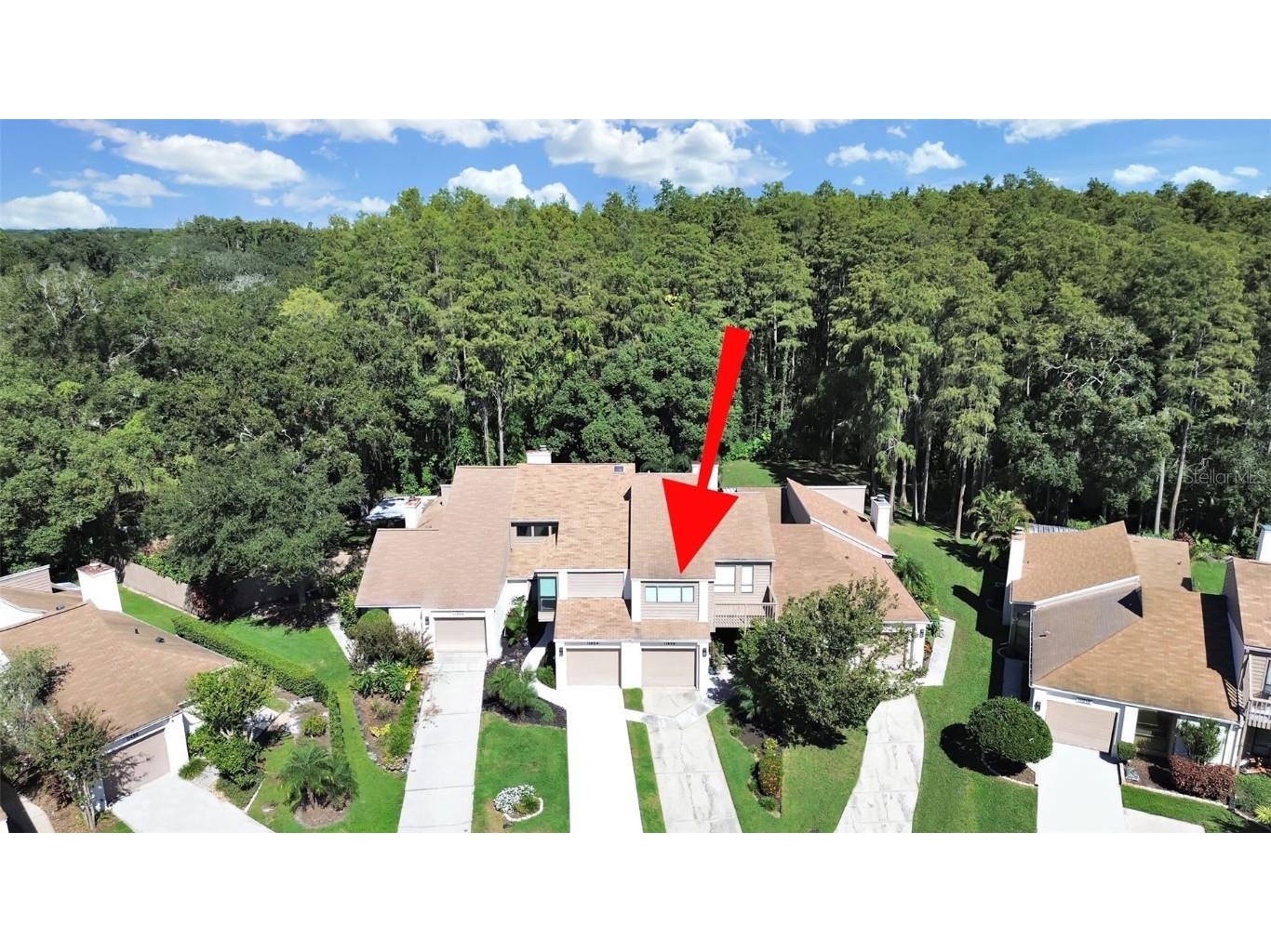 11506 Galleria Drive Tampa FL 33618 TB8432523 image55