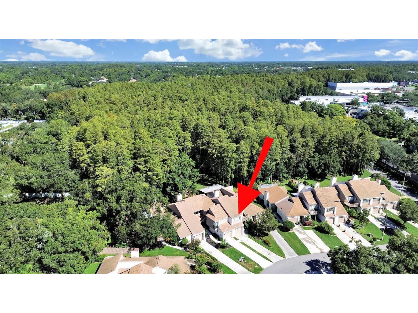 11506 Galleria Drive Tampa FL 33618 TB8432523 image56