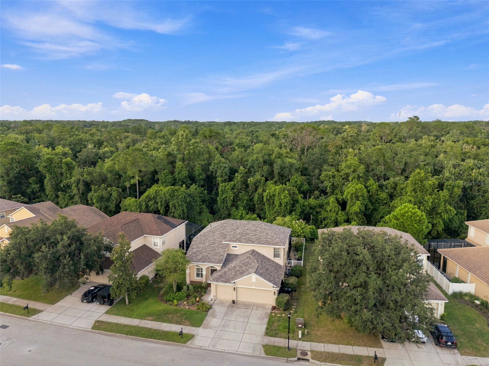 11507 Belle Haven Drive New Port Richey FL 34654 - WEST MOON LAKE W7887973 image70