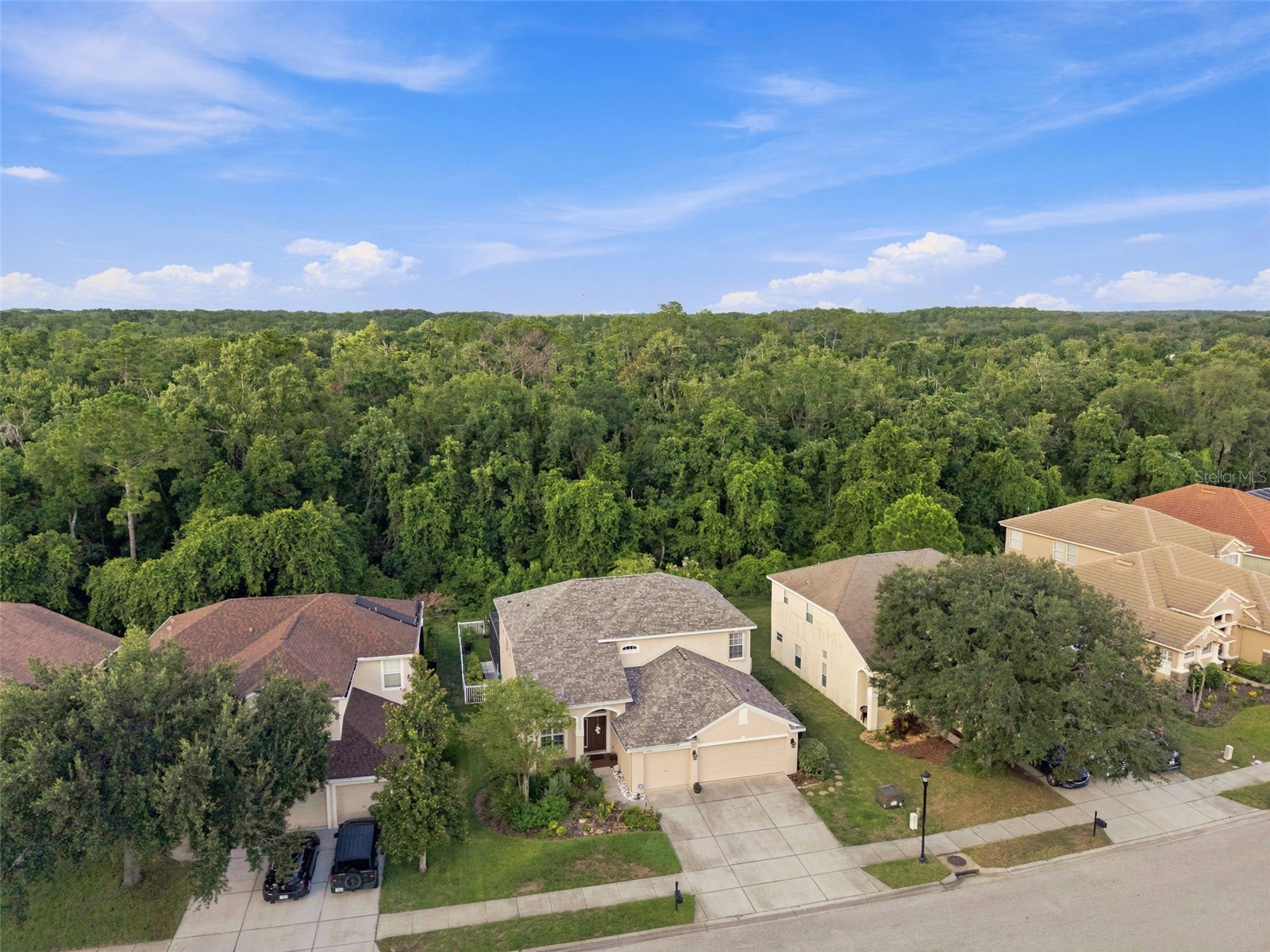 11507 Belle Haven Drive New Port Richey FL 34654 - WEST MOON LAKE W7887973 image71