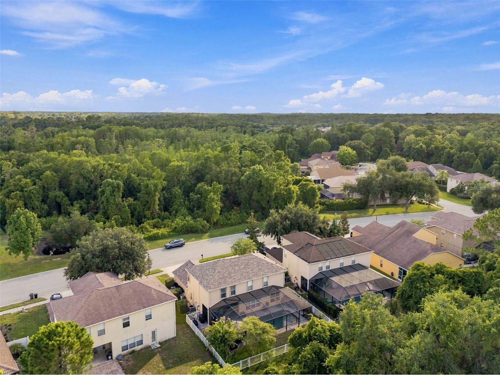 11507 Belle Haven Drive New Port Richey FL 34654 - WEST MOON LAKE W7887973 image75