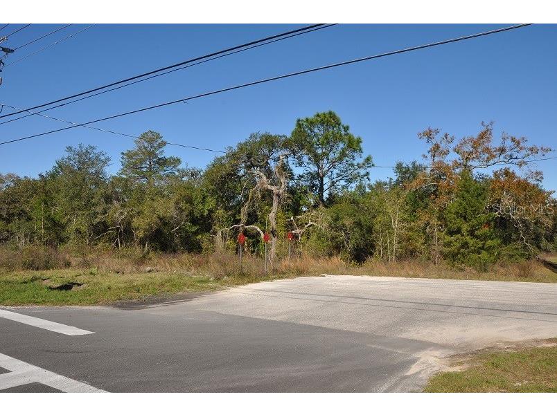 11507 Cortez Boulevard #102 Brooksville FL 34613 W7823364 image2