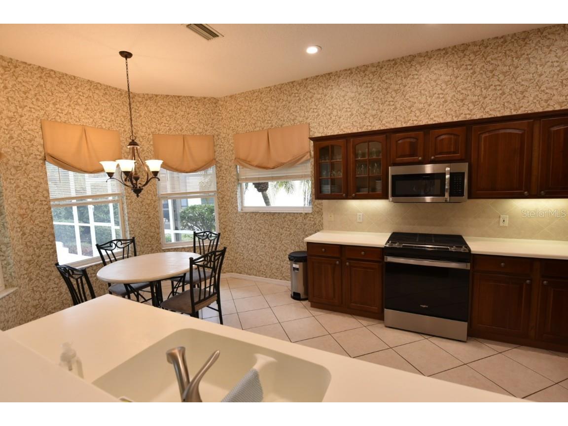 11507 Sweetflag Drive Lakewood Ranch FL 34202 A4674612 image7