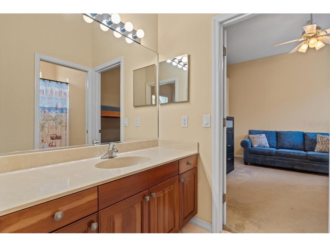 11508 30th Cove E Parrish FL 34219 A4656381 image42