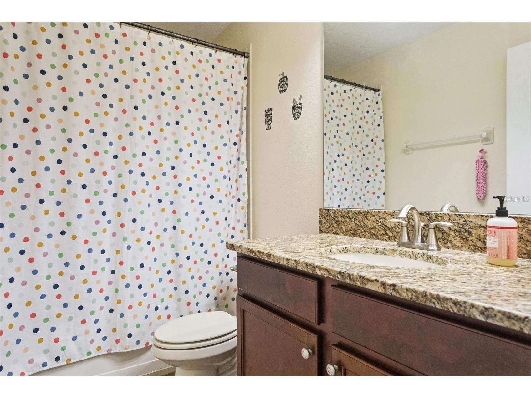 11508 Mansfield Point Drive Riverview FL 33569 TB8473361 image22