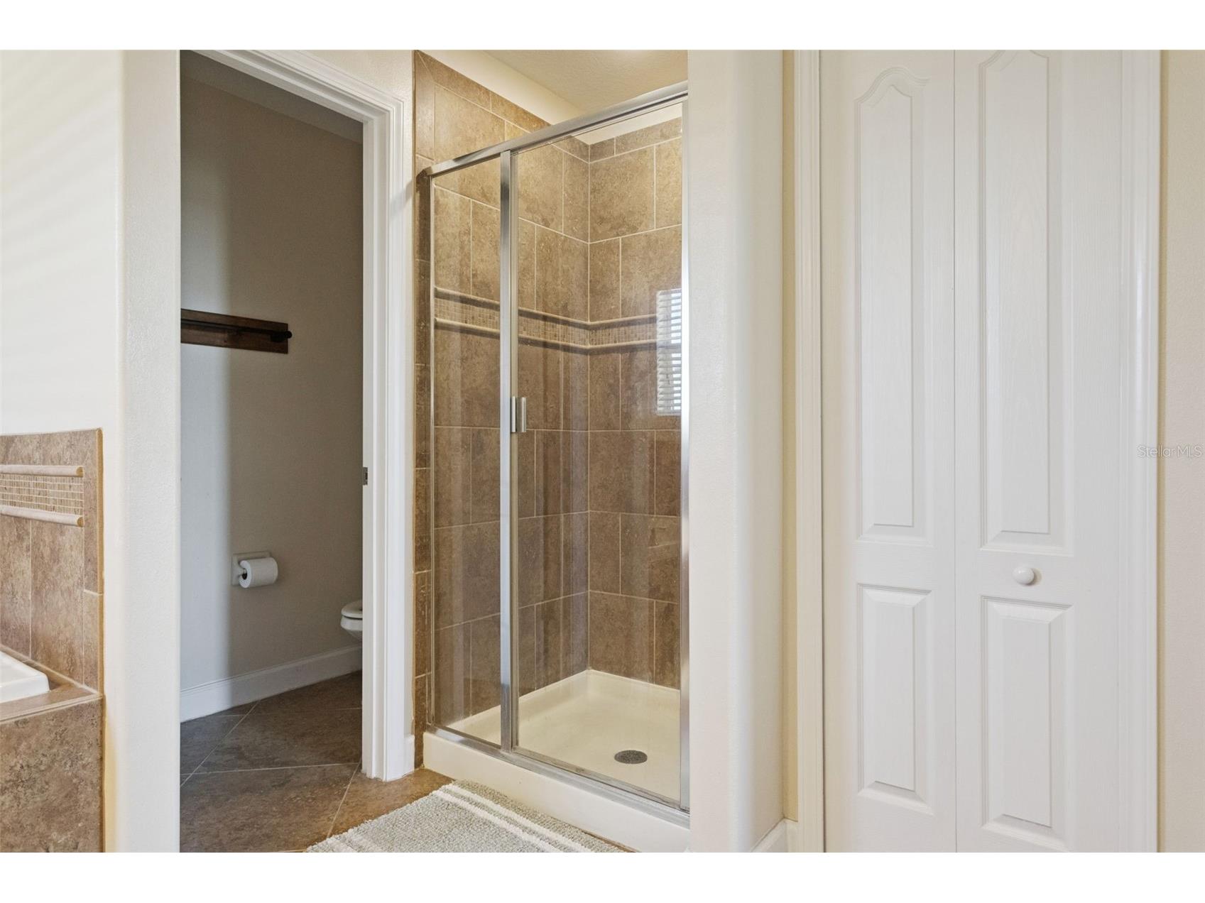 11508 Mansfield Point Drive Riverview FL 33569 TB8473361 image33