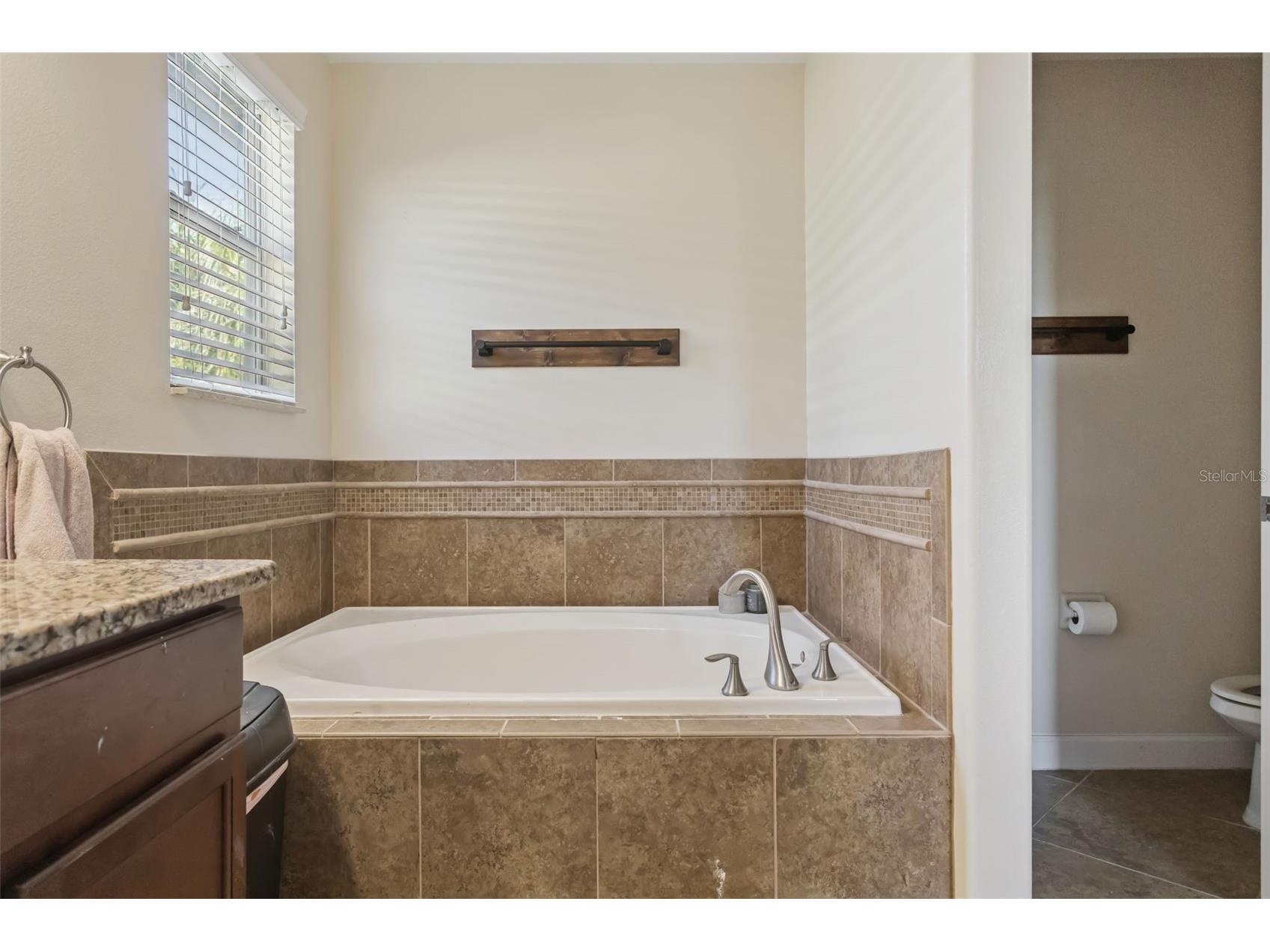 11508 Mansfield Point Drive Riverview FL 33569 TB8473361 image34