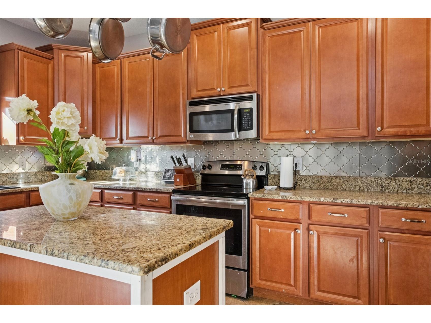 11508 Mansfield Point Drive Riverview FL 33569 TB8473361 image9