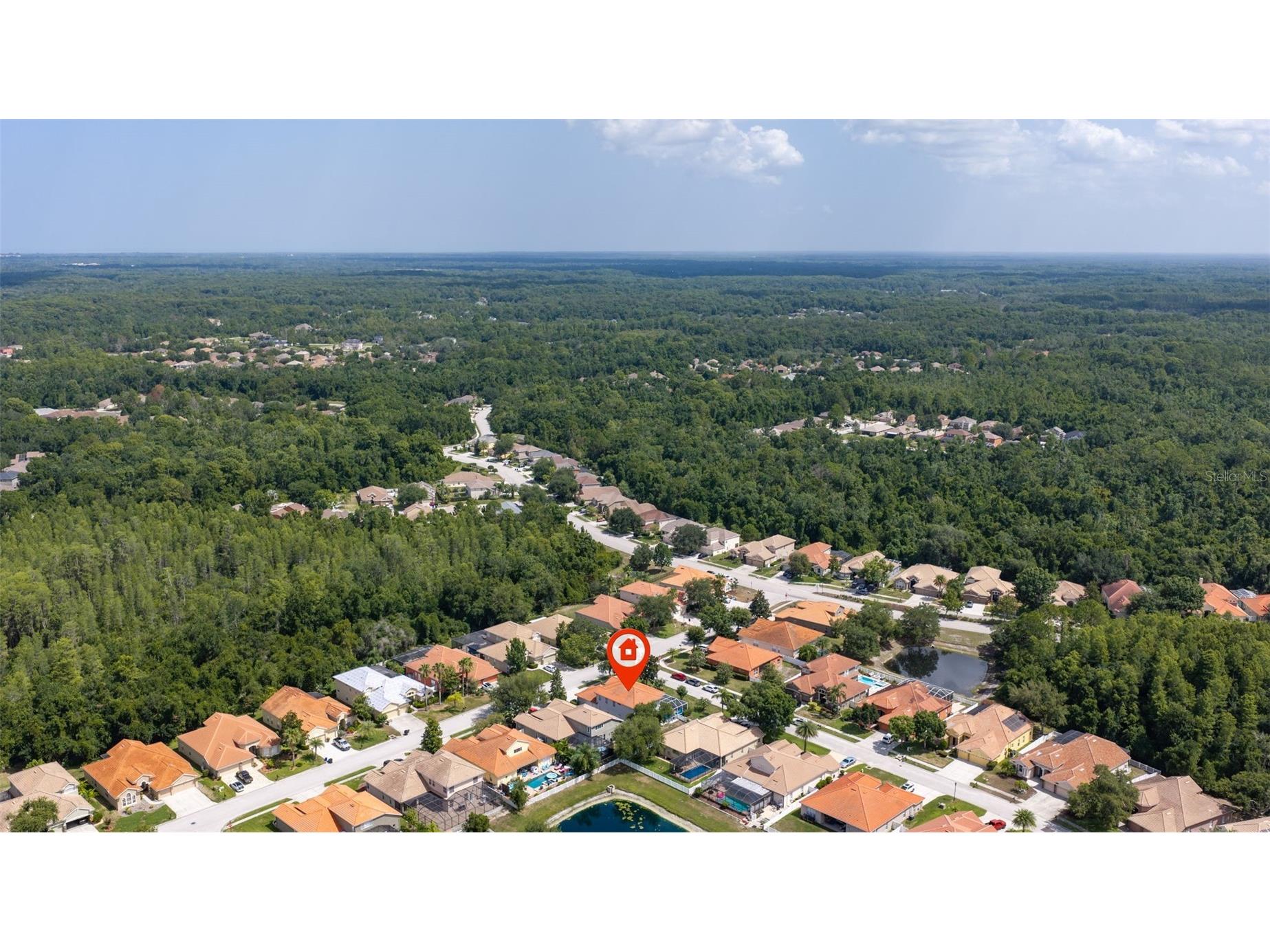 11508 Oyster Bay Circle New Port Richey FL 34654 TB8527308 image51