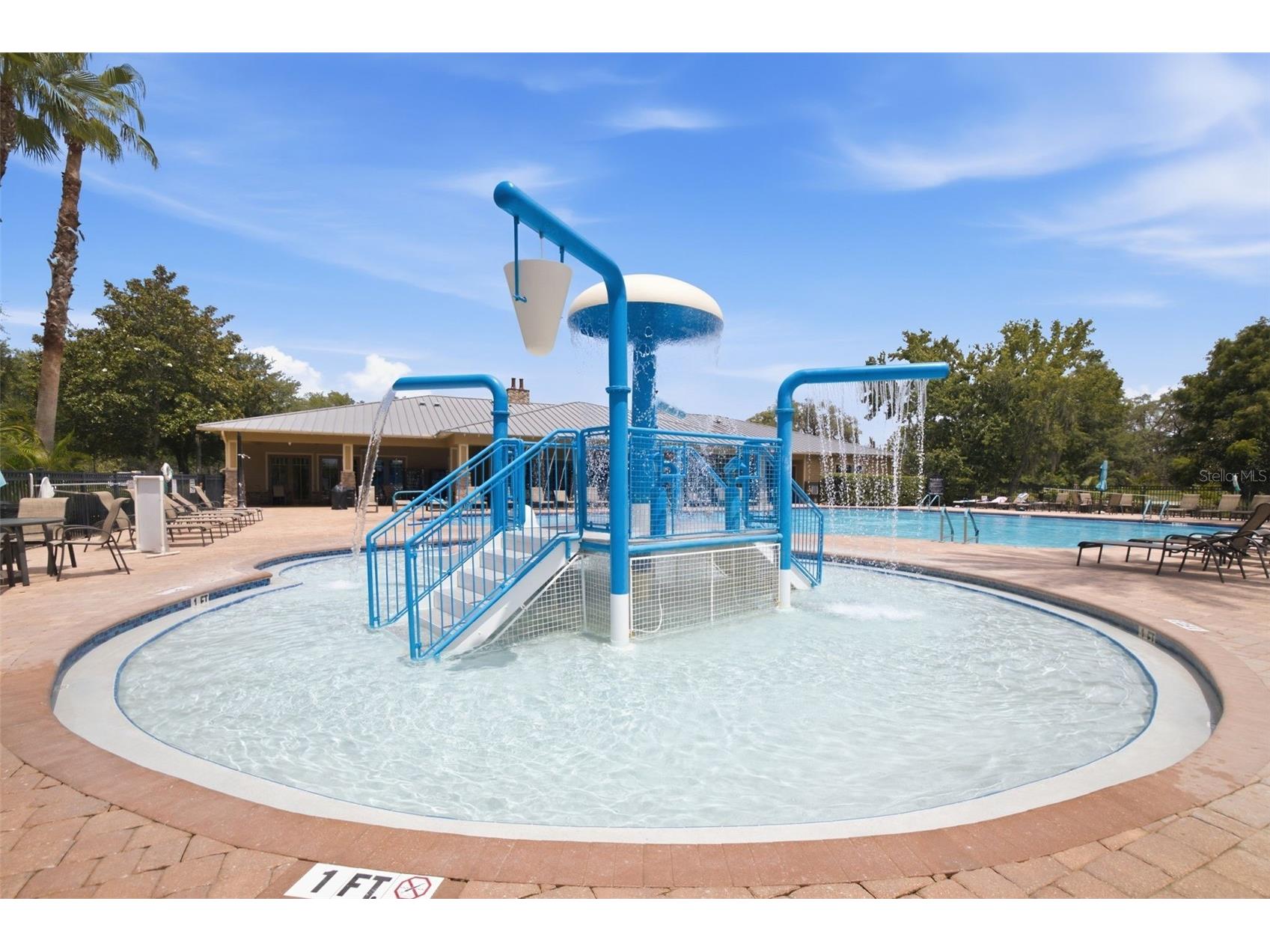 11508 Oyster Bay Circle New Port Richey FL 34654 TB8527308 image57