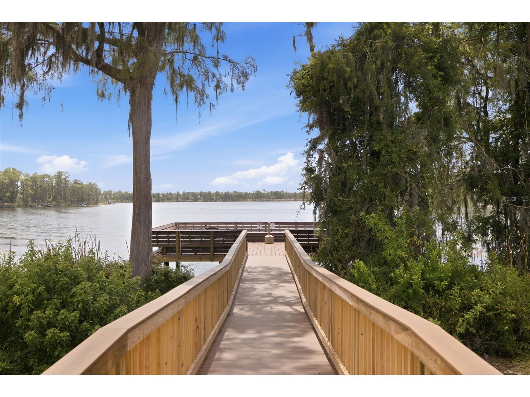 11508 Oyster Bay Circle New Port Richey FL 34654 TB8527308 image58