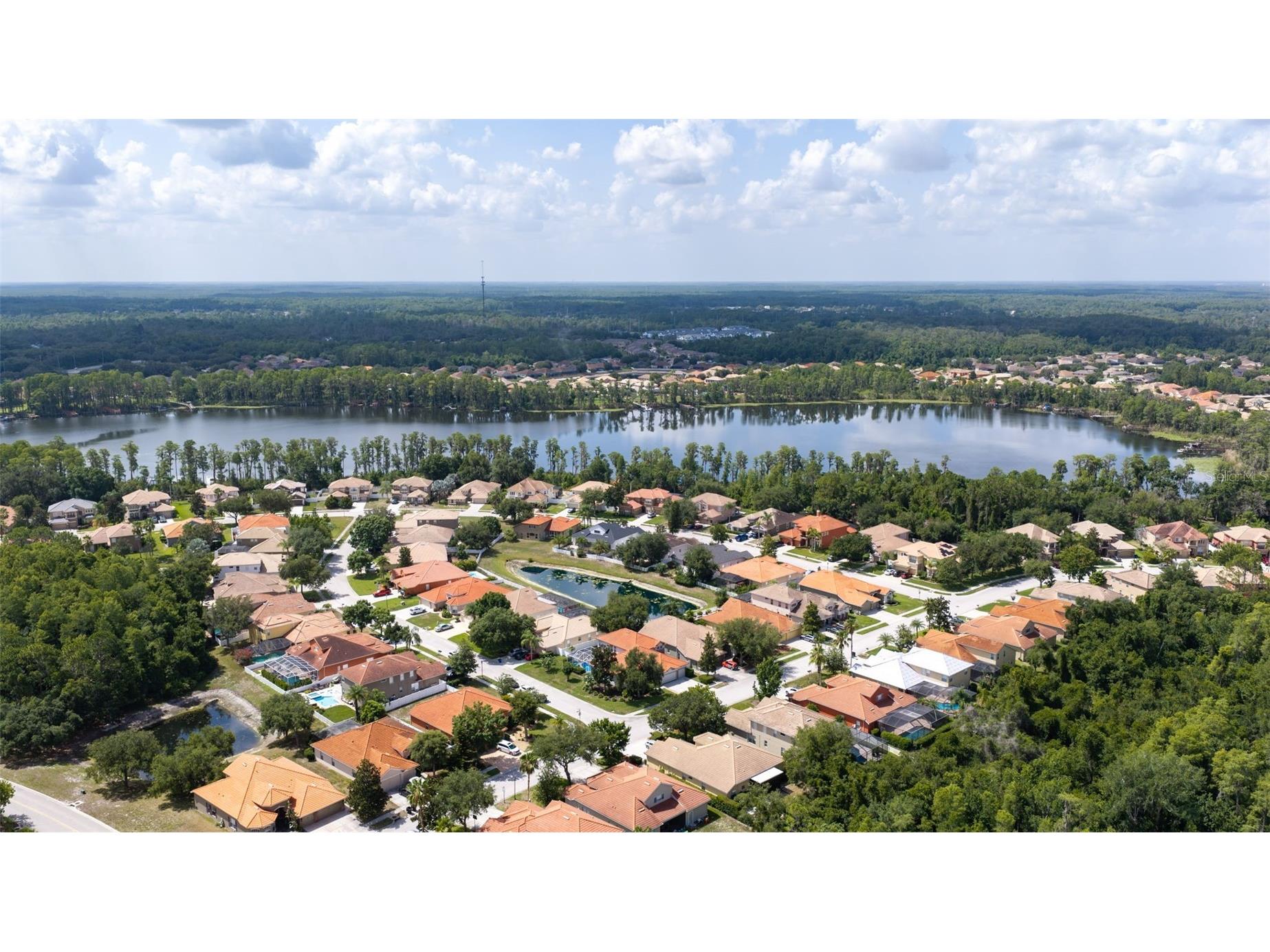 11508 Oyster Bay Circle New Port Richey FL 34654 TB8527308 image77