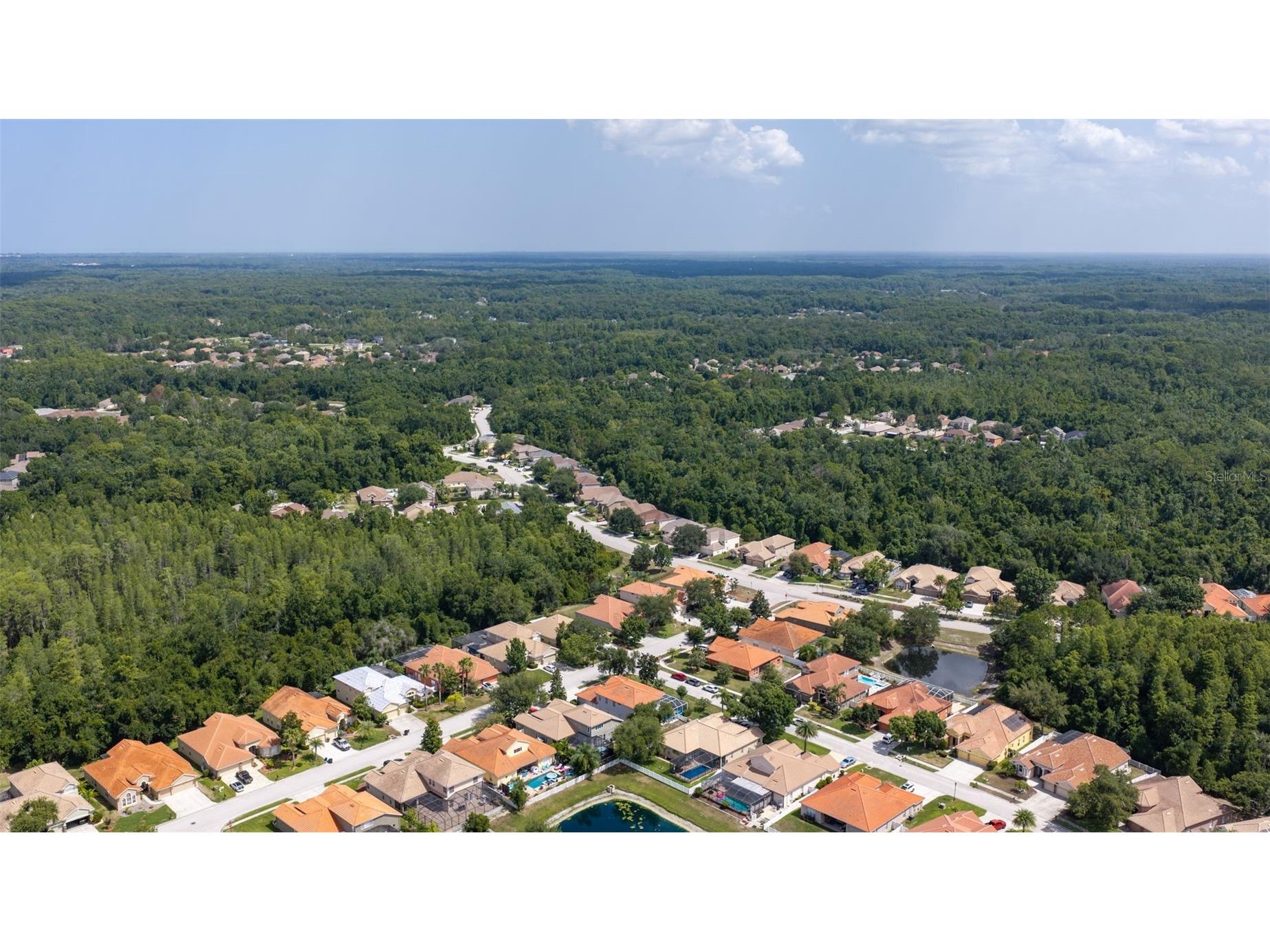 11508 Oyster Bay Circle New Port Richey FL 34654 TB8527308 image79