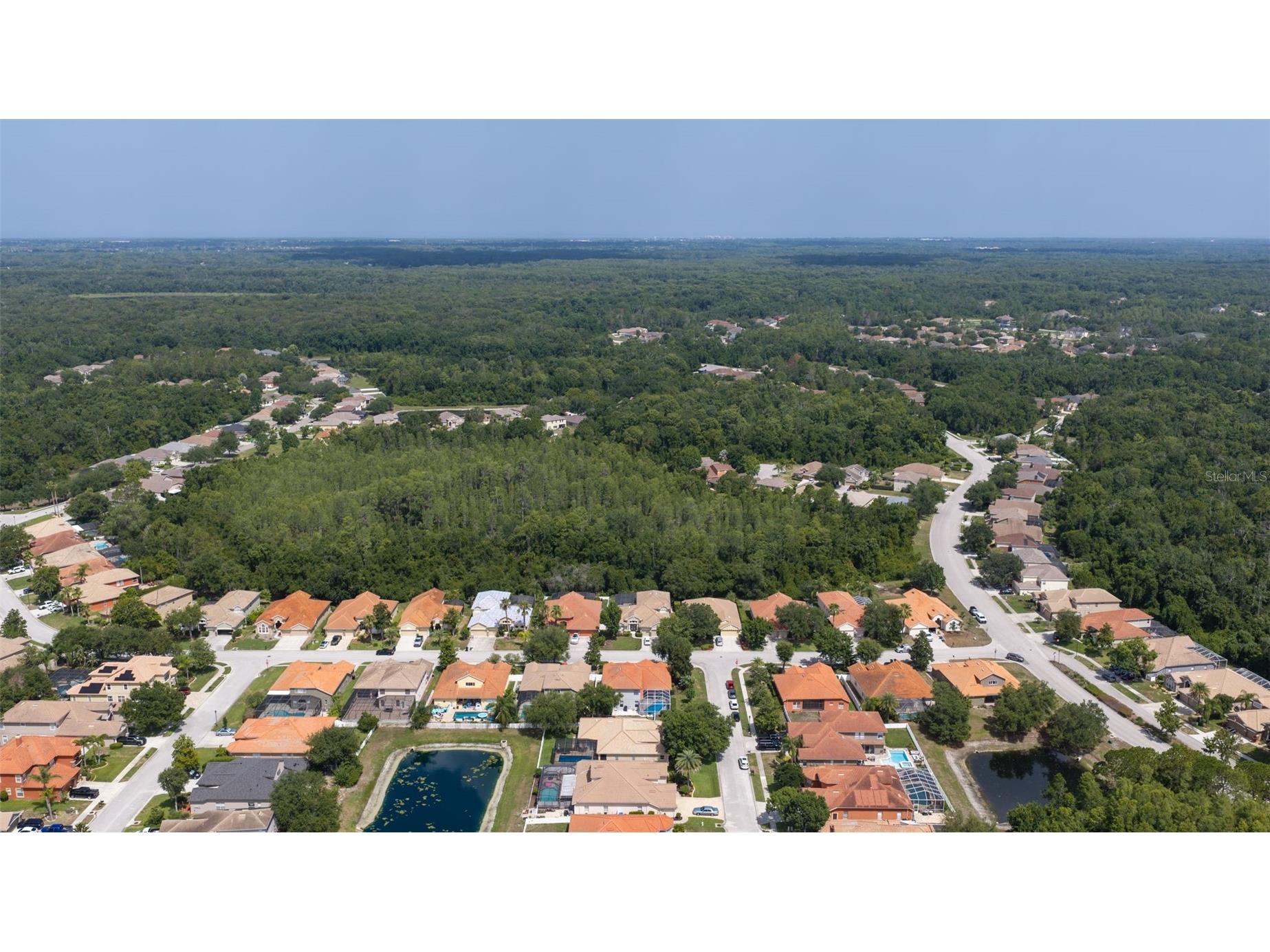 11508 Oyster Bay Circle New Port Richey FL 34654 TB8527308 image80