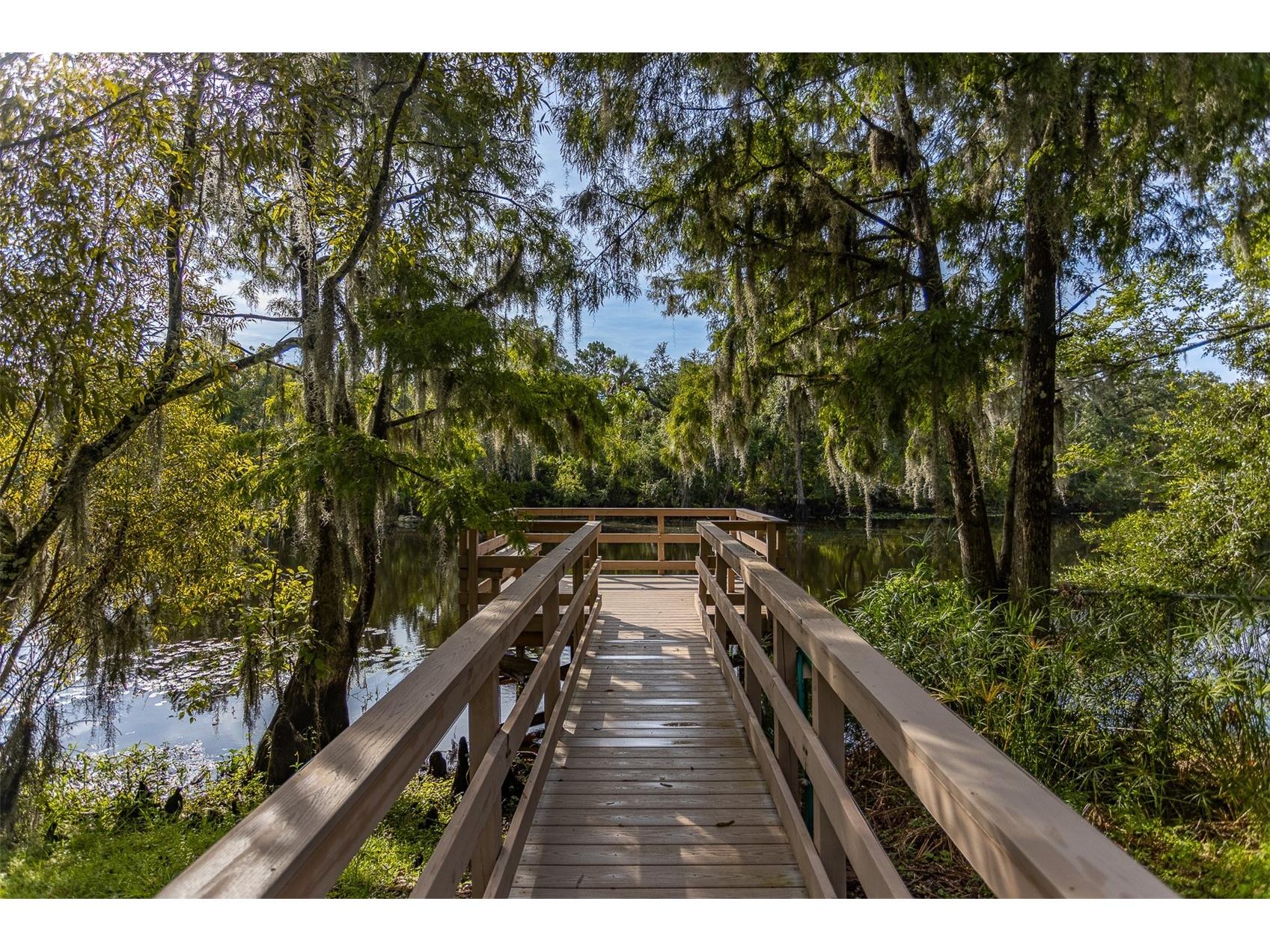 11508 Robles Del Rio Place Temple Terrace FL 33617 TB8495194 image22