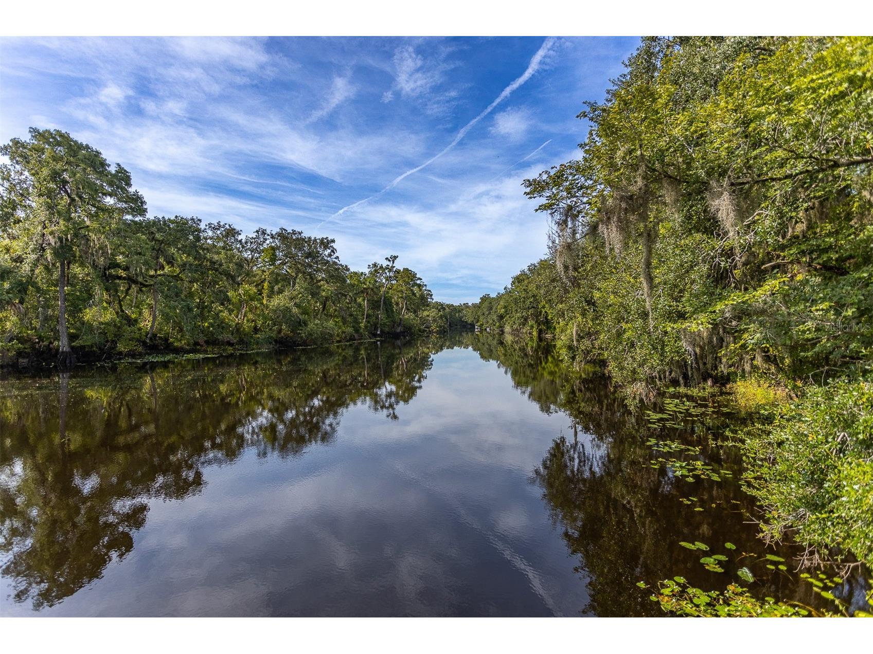 11508 Robles Del Rio Place Temple Terrace FL 33617 TB8495194 image25