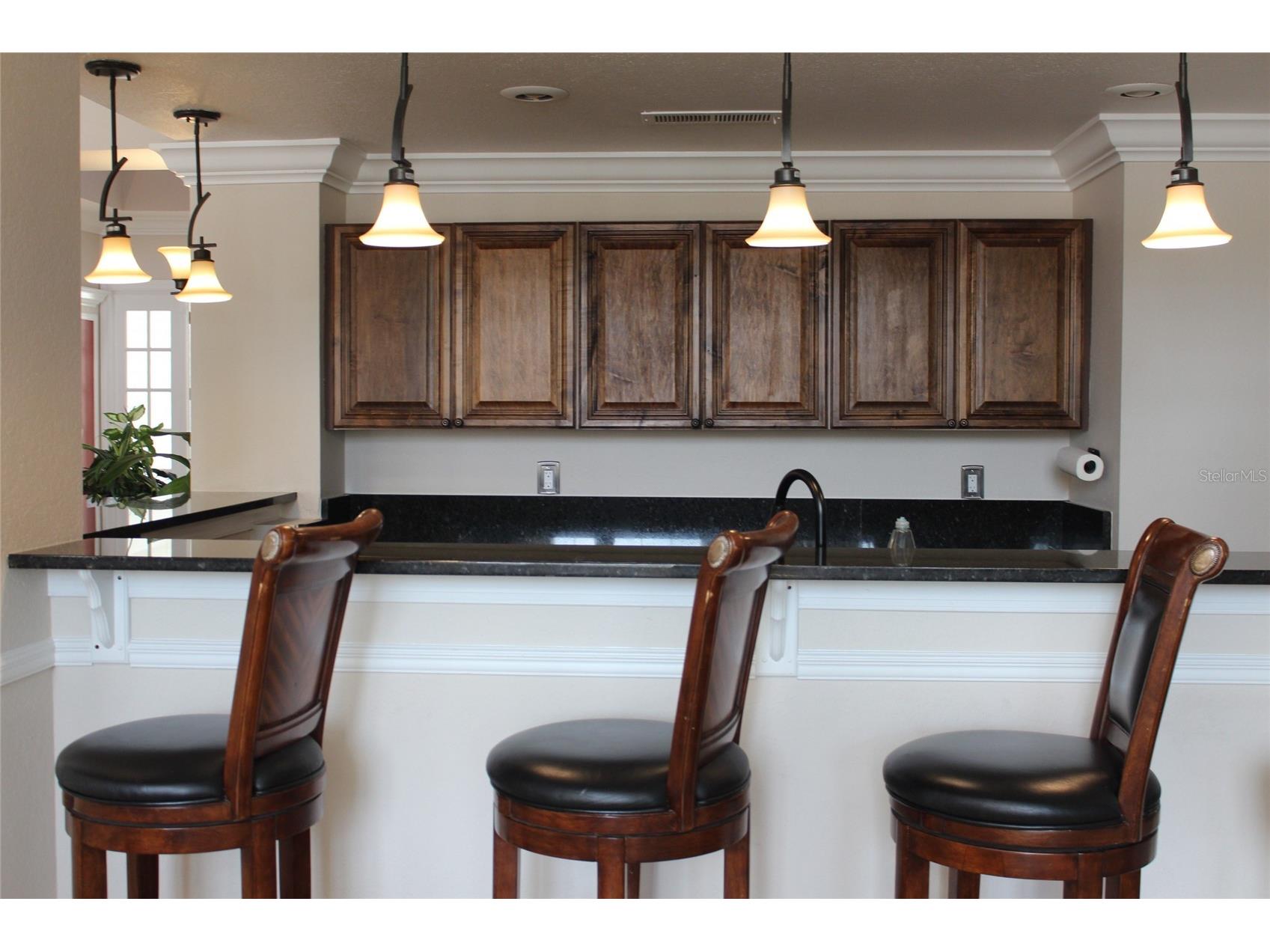 11508 Westwood Boulevard #315 Orlando FL 32821 O6404722 image45