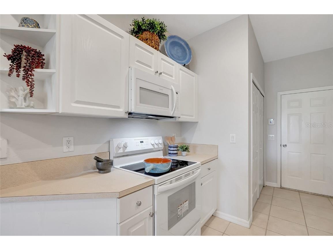 11509 Captiva Kay Drive Riverview FL 33569 TB8448318 image19